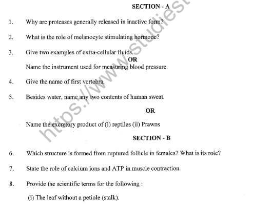 Cbse Class Biology Question Paper Set S Solved